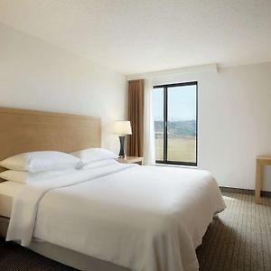 Premium King Suite